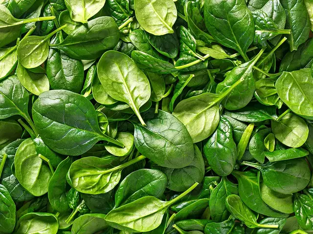 Fresh spinach leaves
