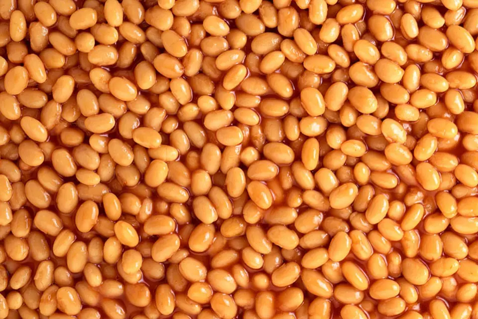 50 soft foods to eat after dental surgery - Baked Beans